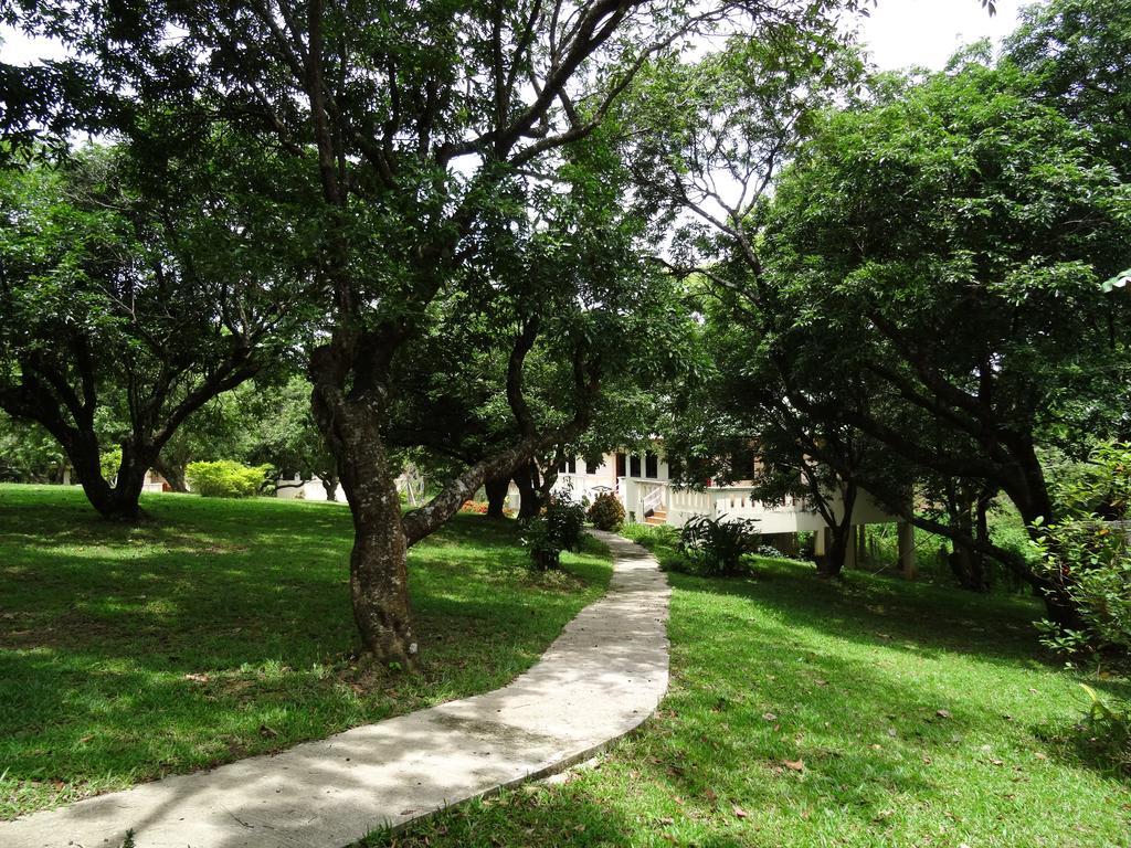 Chang Garden Resort Mae Chan Eksteriør bilde