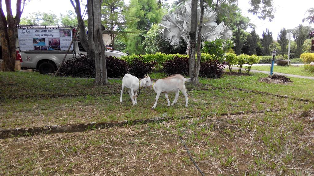 Chang Garden Resort Mae Chan Eksteriør bilde